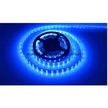 Tira de LED azul 22W Ce y Rhos 120SMD5050